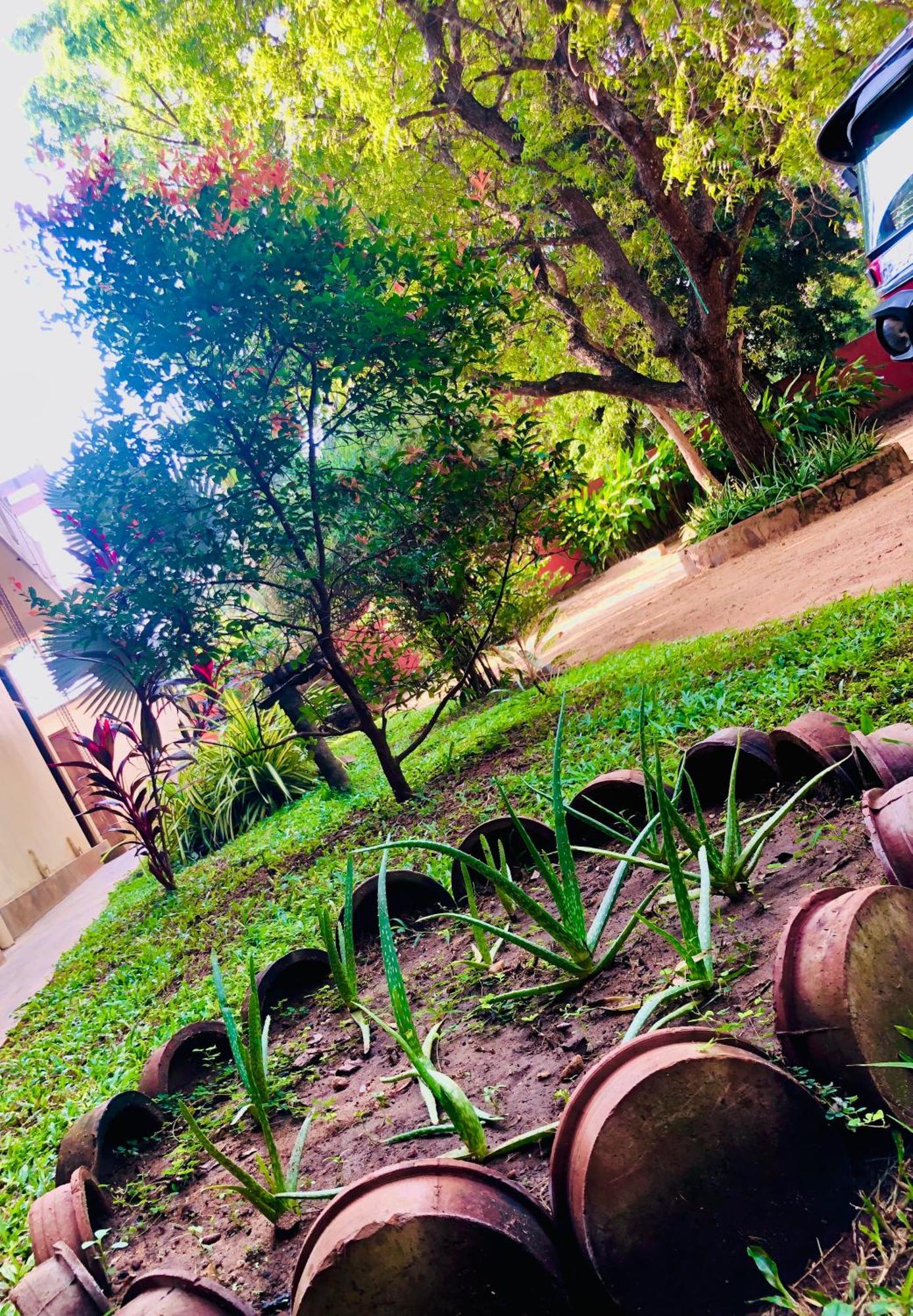 Saman Resort Yala 蒂瑟默哈拉默 外观 照片