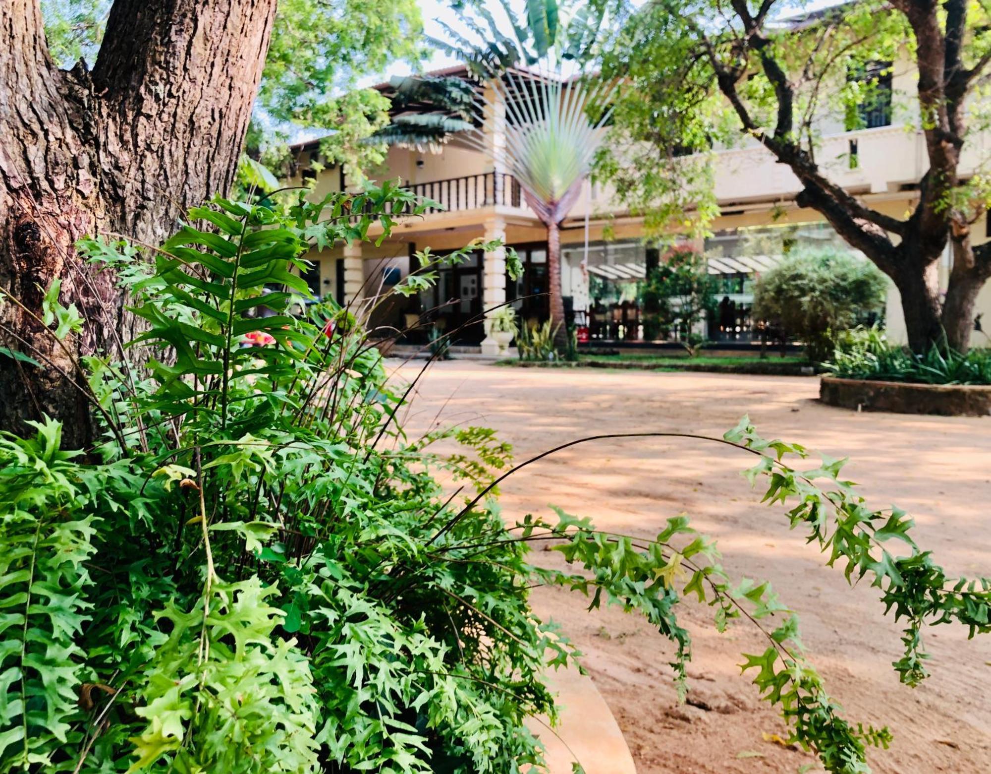 Saman Resort Yala 蒂瑟默哈拉默 外观 照片