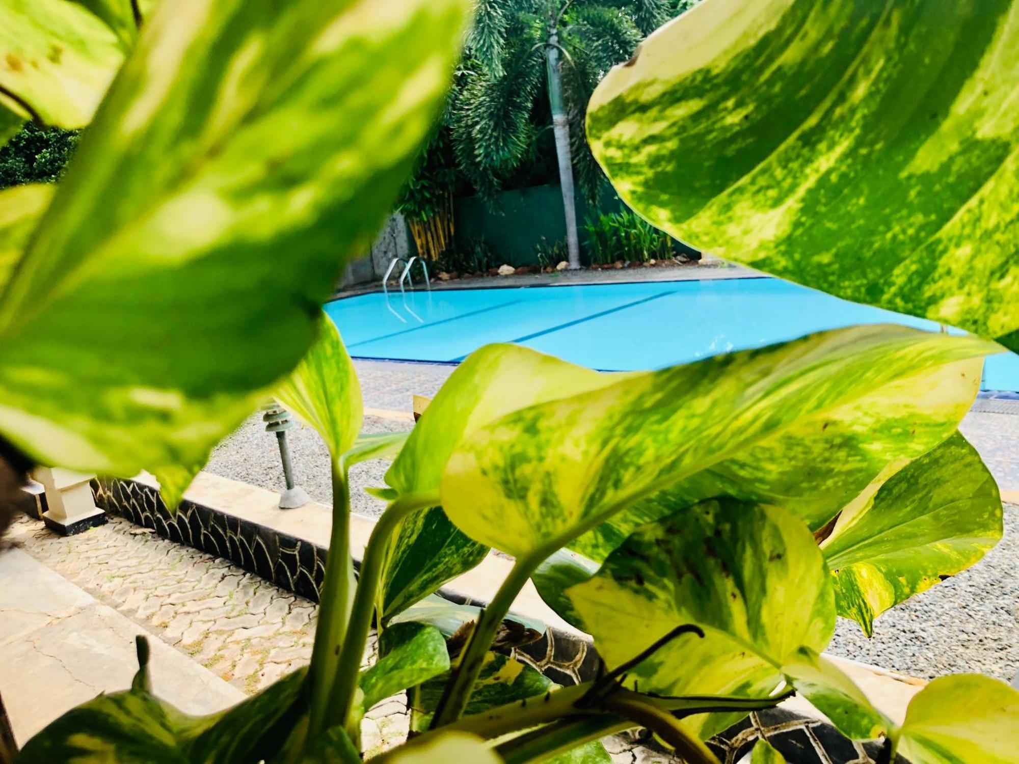 Saman Resort Yala 蒂瑟默哈拉默 外观 照片