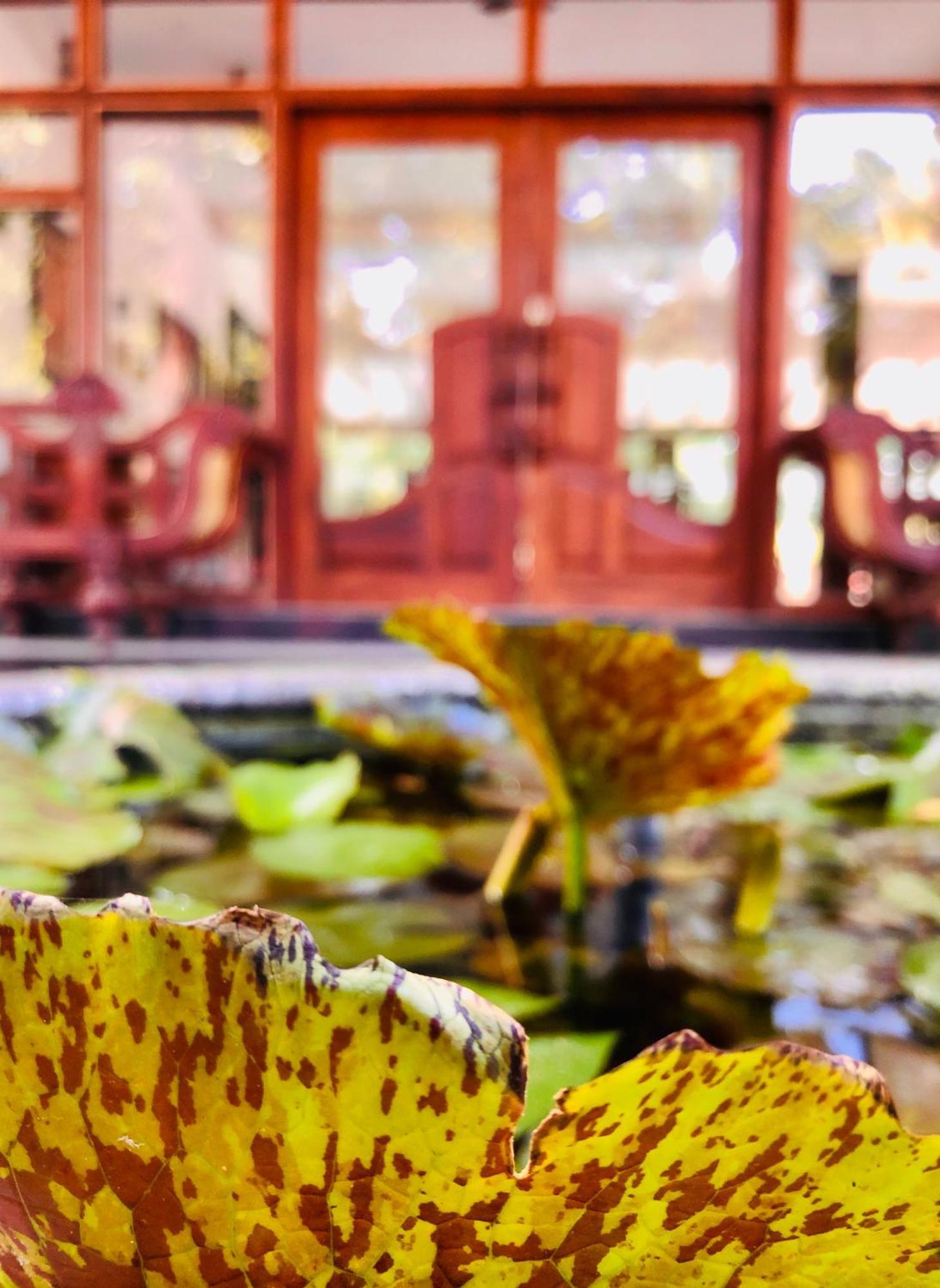 Saman Resort Yala 蒂瑟默哈拉默 外观 照片
