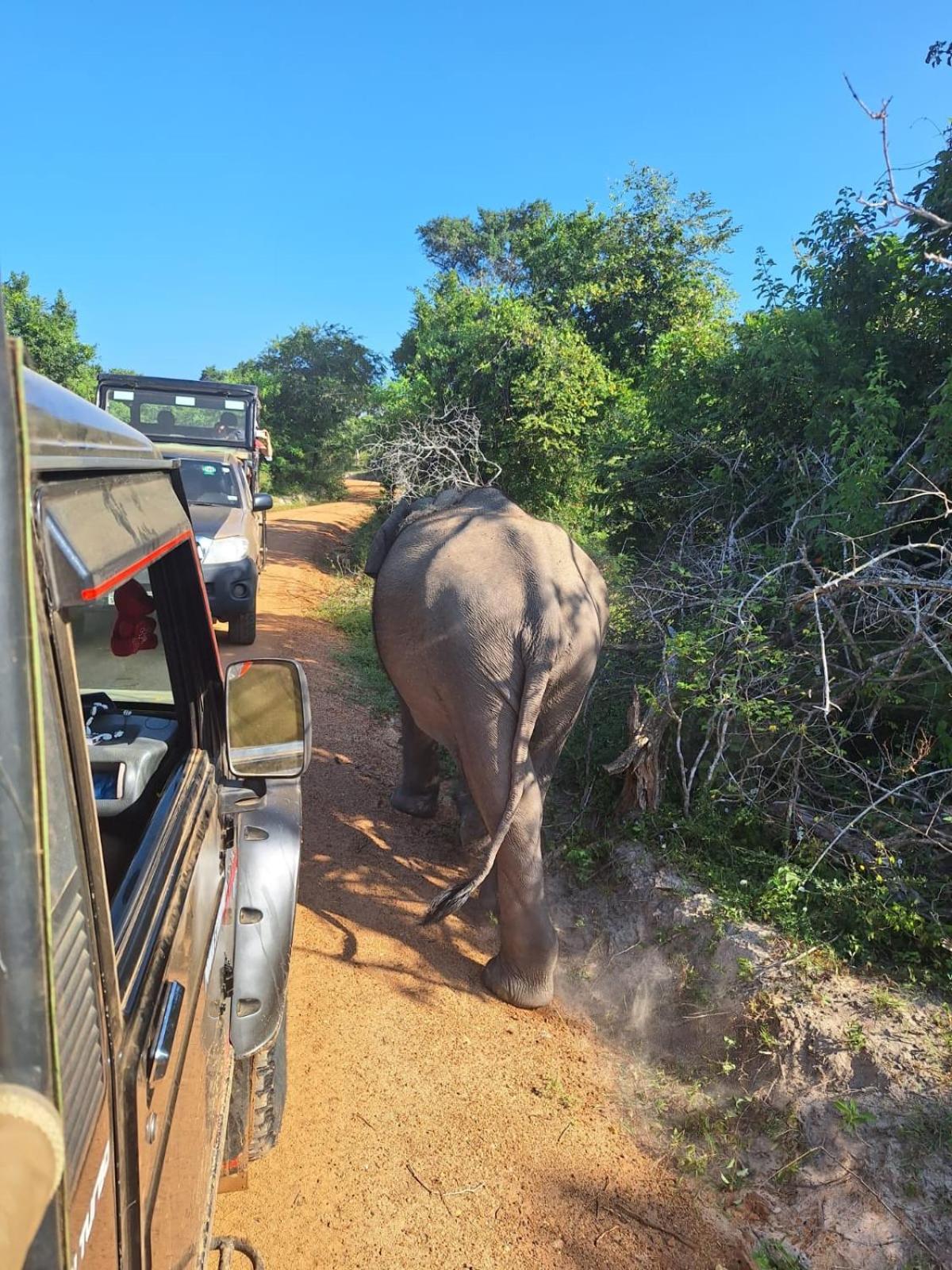 Saman Resort Yala 蒂瑟默哈拉默 外观 照片