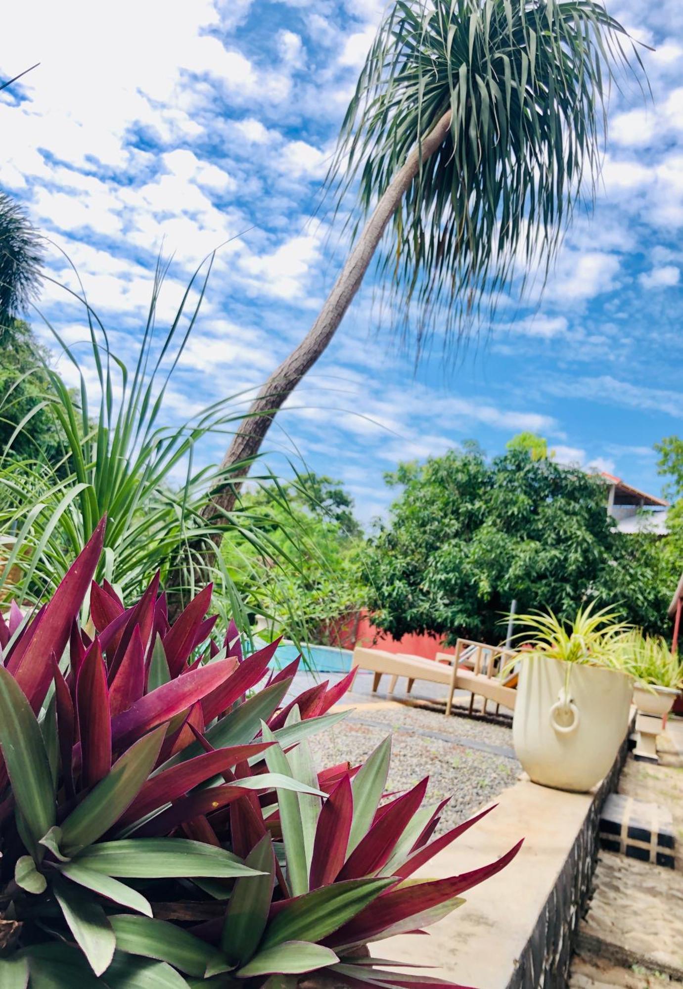 Saman Resort Yala 蒂瑟默哈拉默 外观 照片
