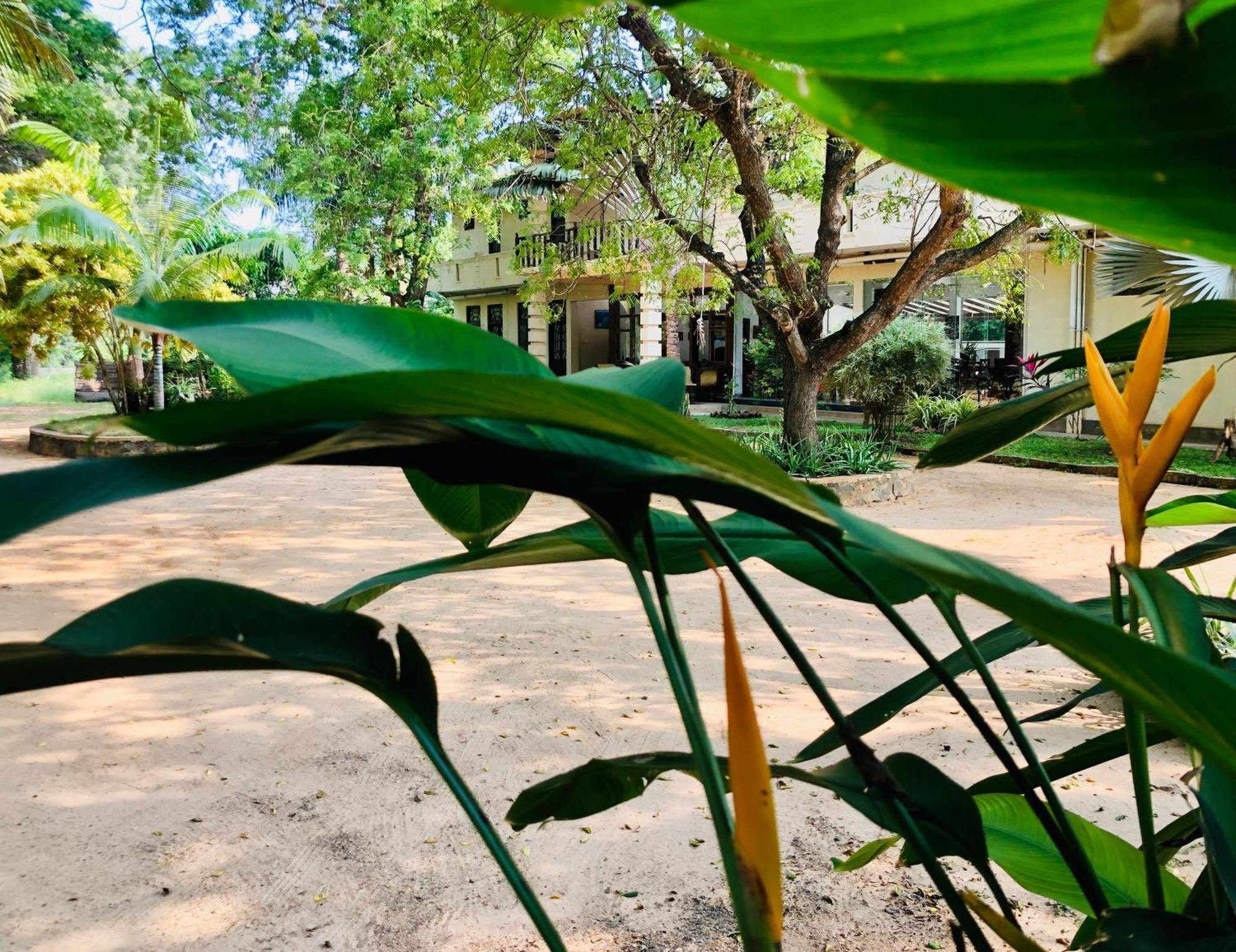 Saman Resort Yala 蒂瑟默哈拉默 外观 照片